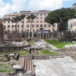 Cat Sanctuary set in the famous ruins of Torre Argentina